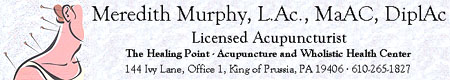 Main Line and Surrounding Area Massage Therapists