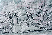 Movement