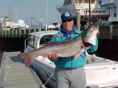 Schooner Island Marina