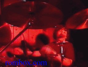 Steve Holloway